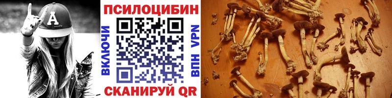 Купить  Екатеринбург  Галлюциногенные грибы MAGIC MUSHROOMS 